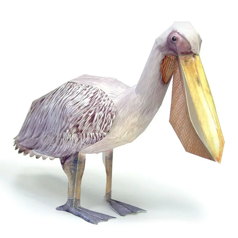 Art And Craft Nature - Great White Pelican Bird Paper Model