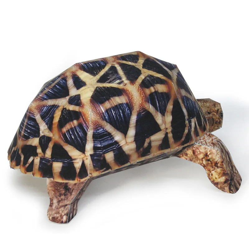 Indian Star Tortoise Paper Mod - Art And Craft Nature 评论和价格