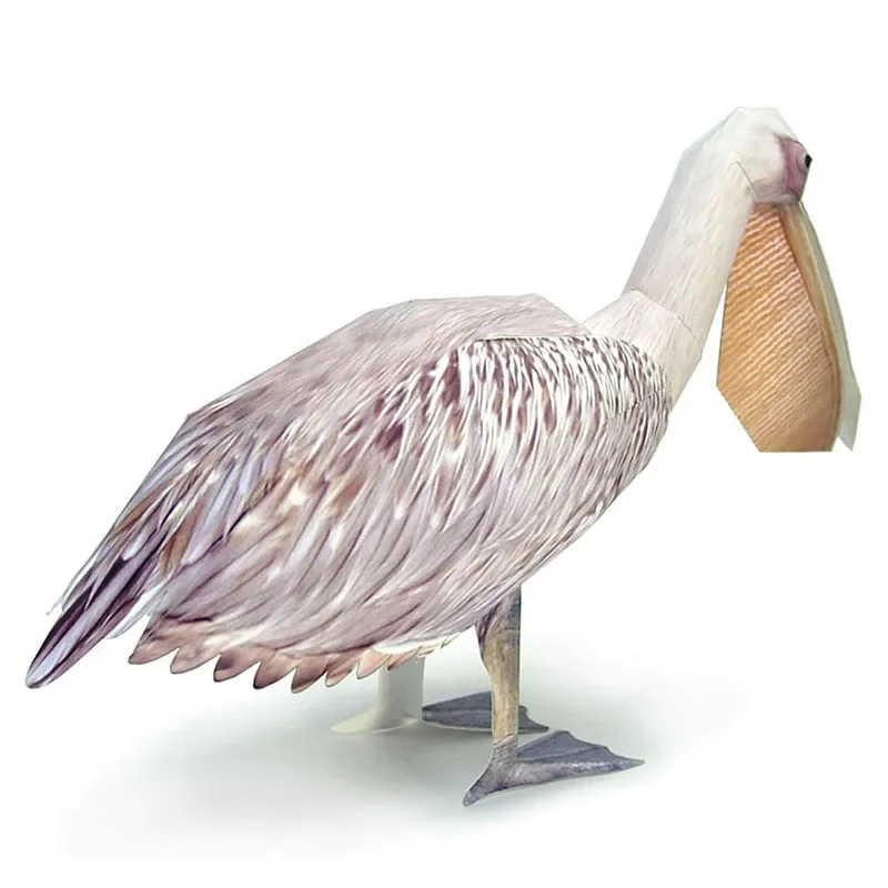 Great White Pelican Bird Paper - Art And Craft Nature 评论和价格
